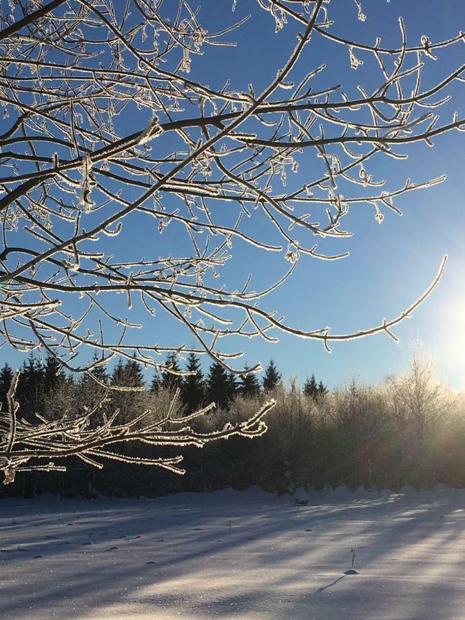Ferienwohnung Arnika Inklusive Waeschepaket Braunlage Eksteriør billede