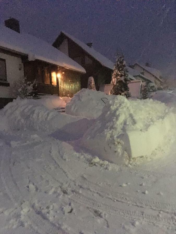 Ferienwohnung Arnika Inklusive Waeschepaket Braunlage Eksteriør billede