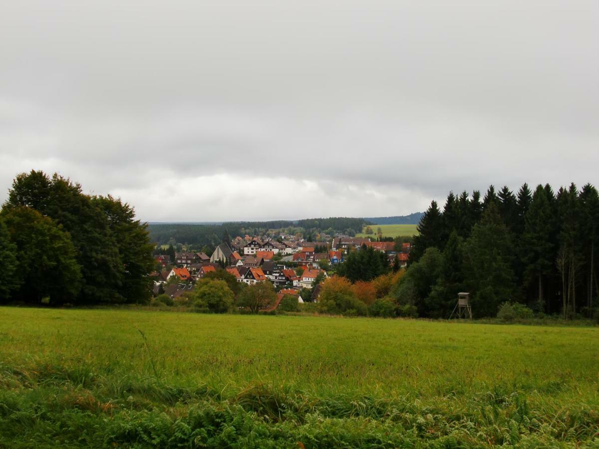 Ferienwohnung Arnika Inklusive Waeschepaket Braunlage Eksteriør billede