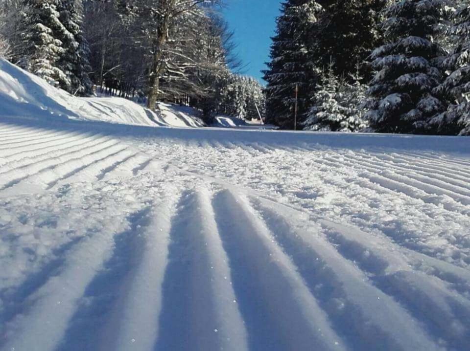 Ferienwohnung Arnika Inklusive Waeschepaket Braunlage Eksteriør billede